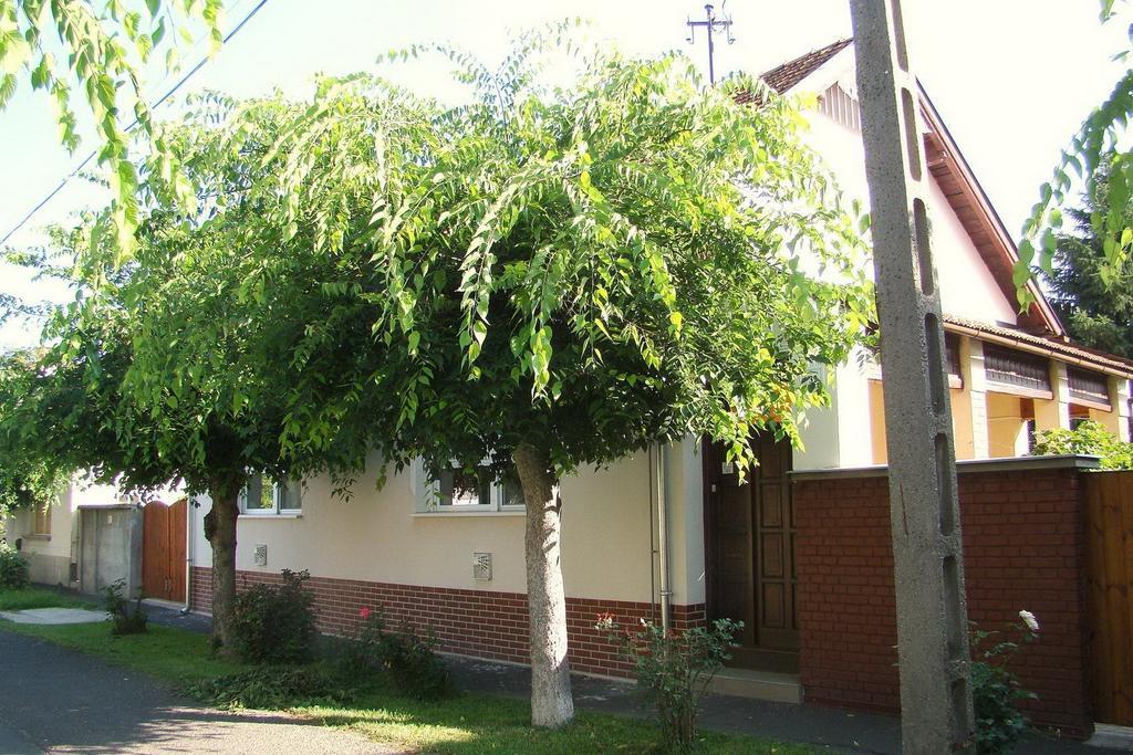 Hajnal Apartman Vila Gyula Quarto foto